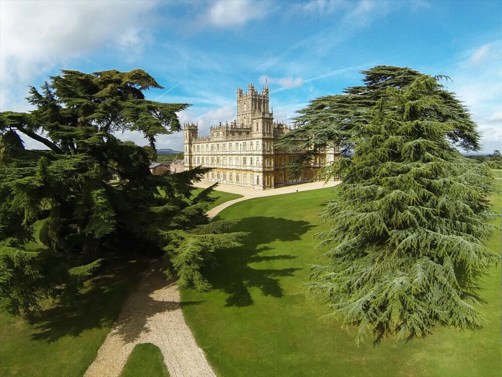 The Cedar Tree