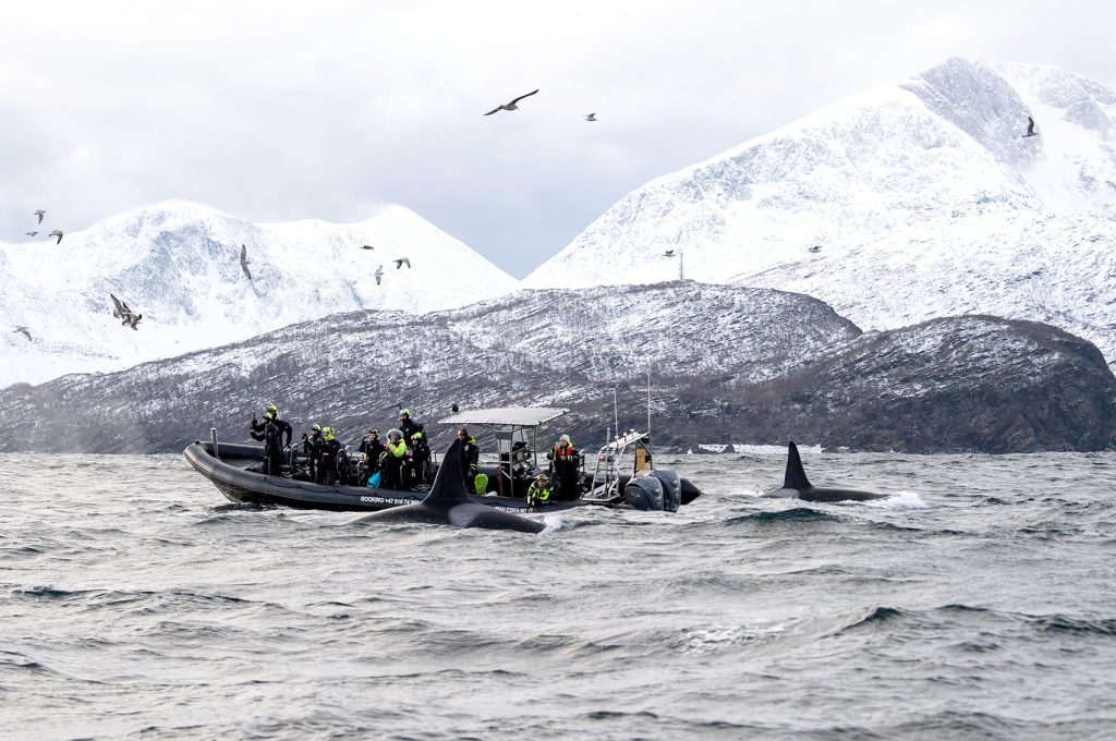Fjord Navigation and Search