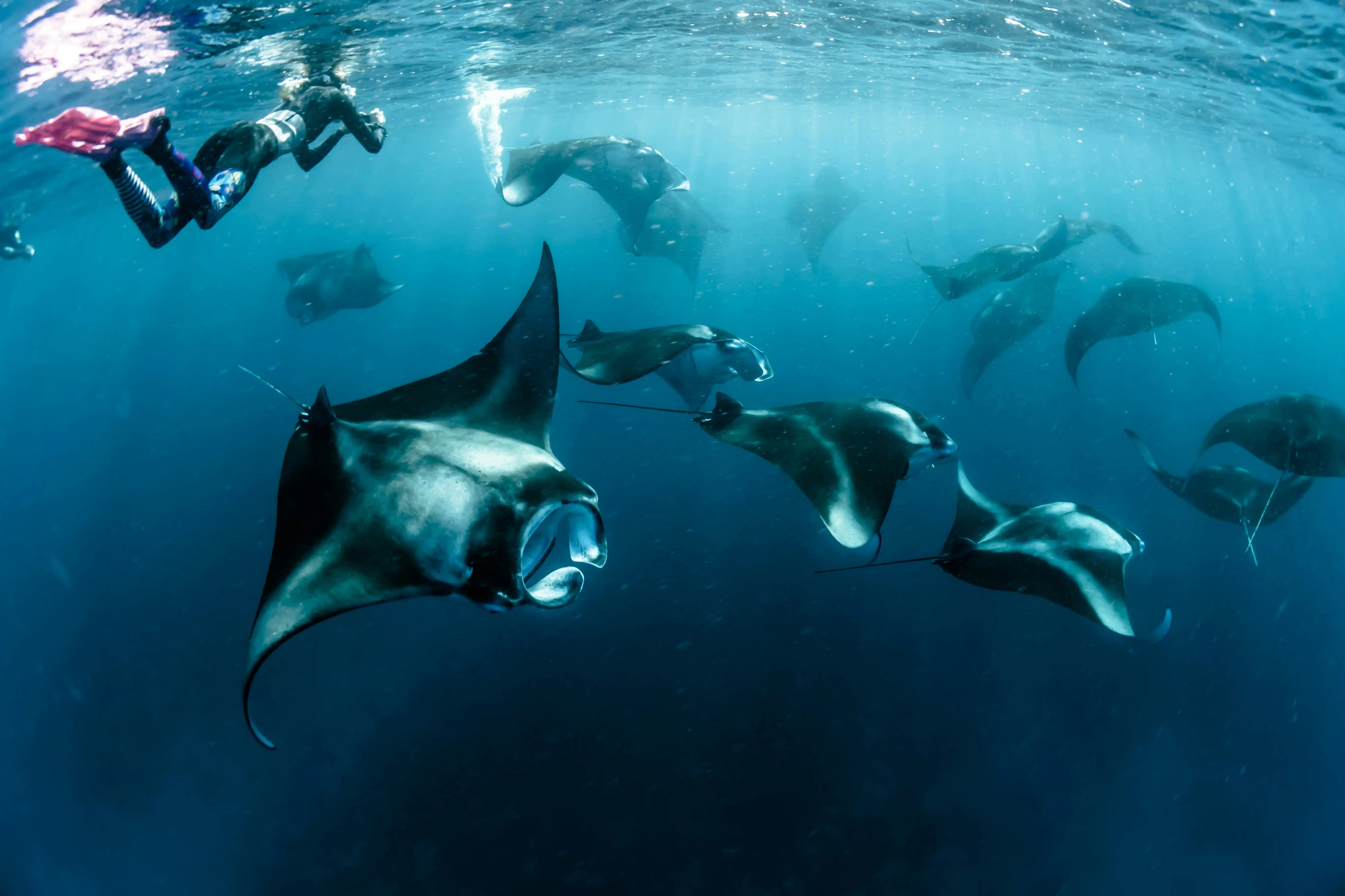 Bora Bora Snorkeling Tour