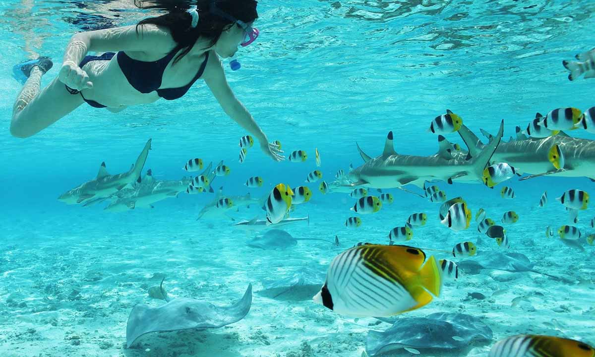 Final Swim
