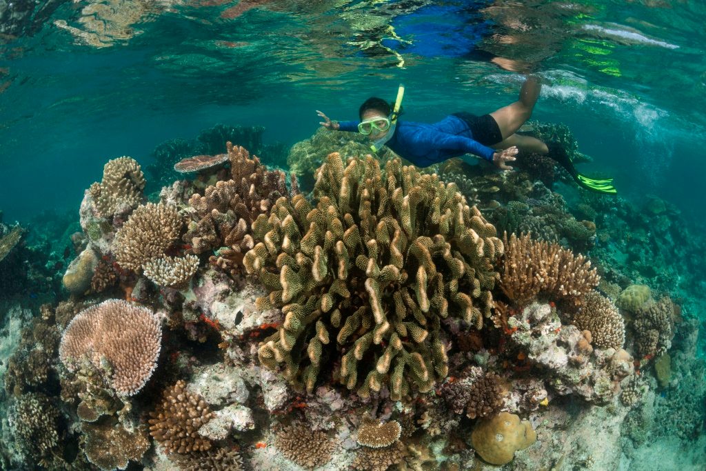 Icacos Island Snorkeling