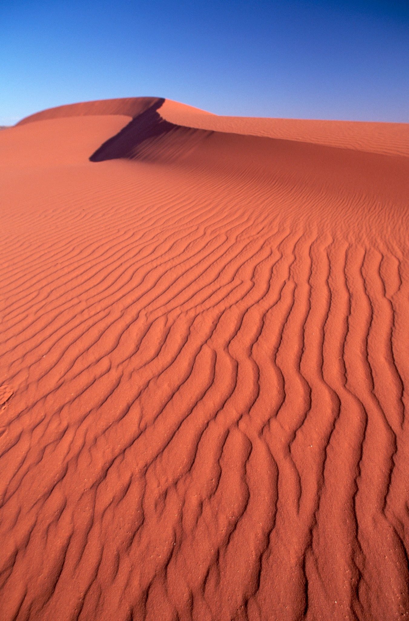 Shadow Contrast Basin