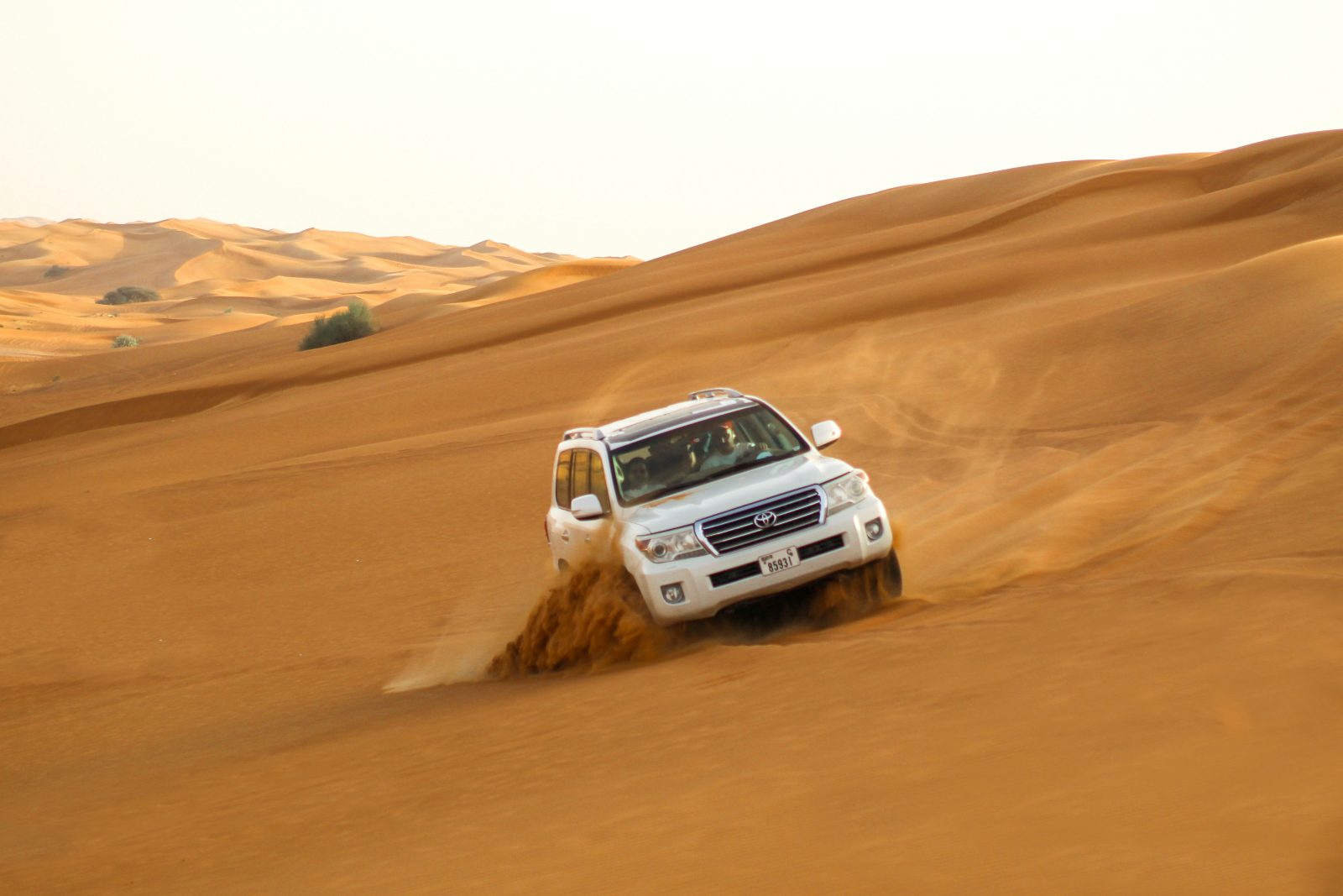Desert Safari Riyadh