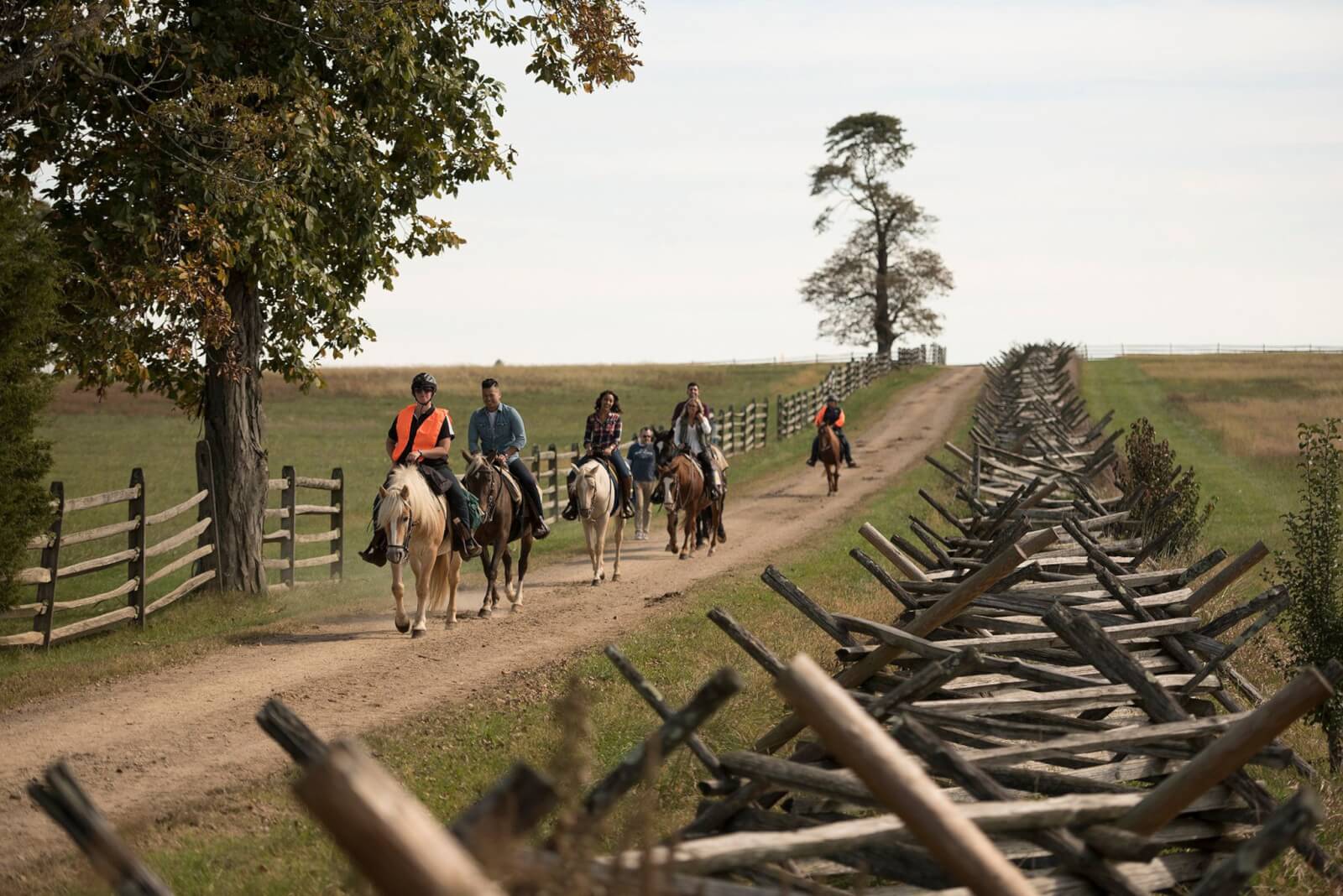 Horse Tours of Gettysburg