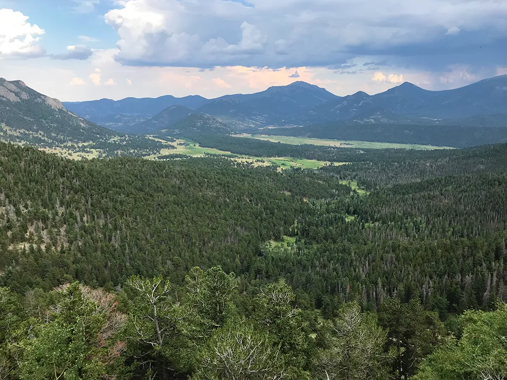 Many Parks Curve