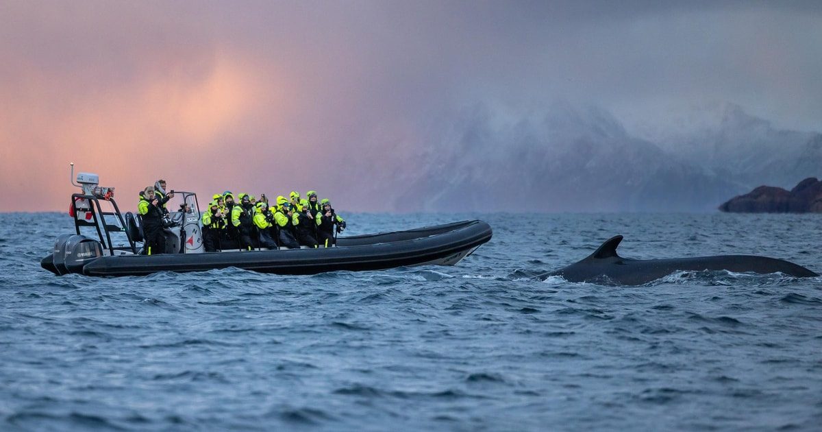Kvænangsfjorden