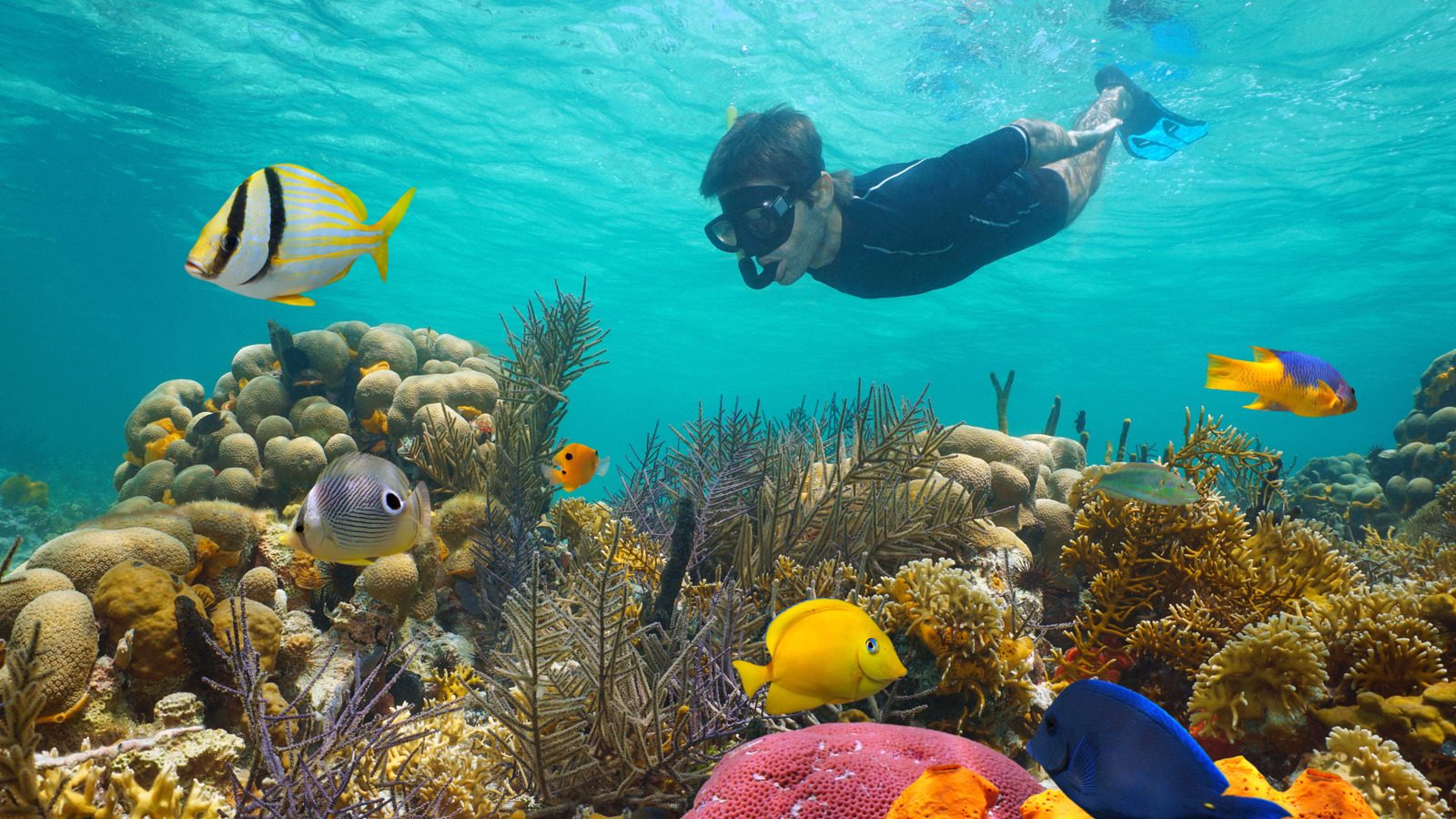 Bahamas Snorkeling