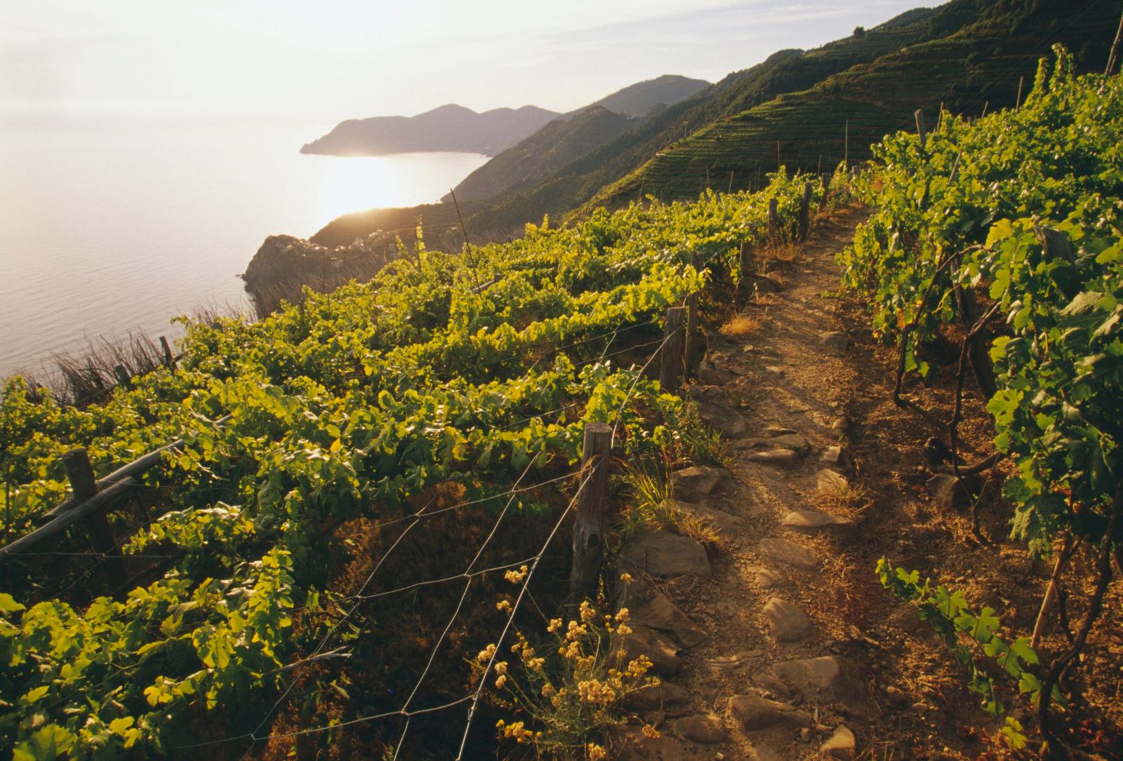 Cinque Terre Tours From Florence