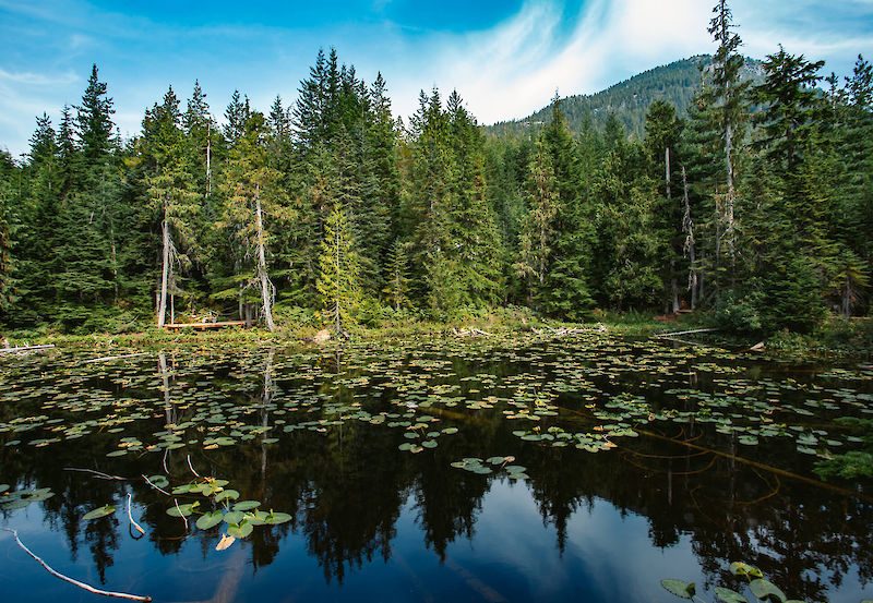 Wonderland Lake Loop