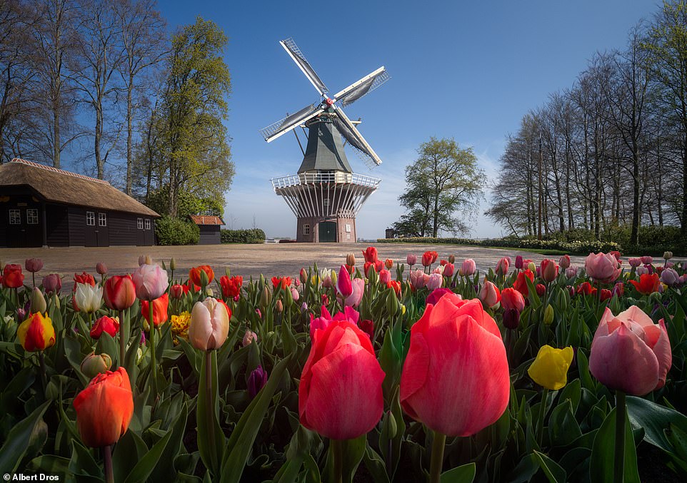 The Windmill