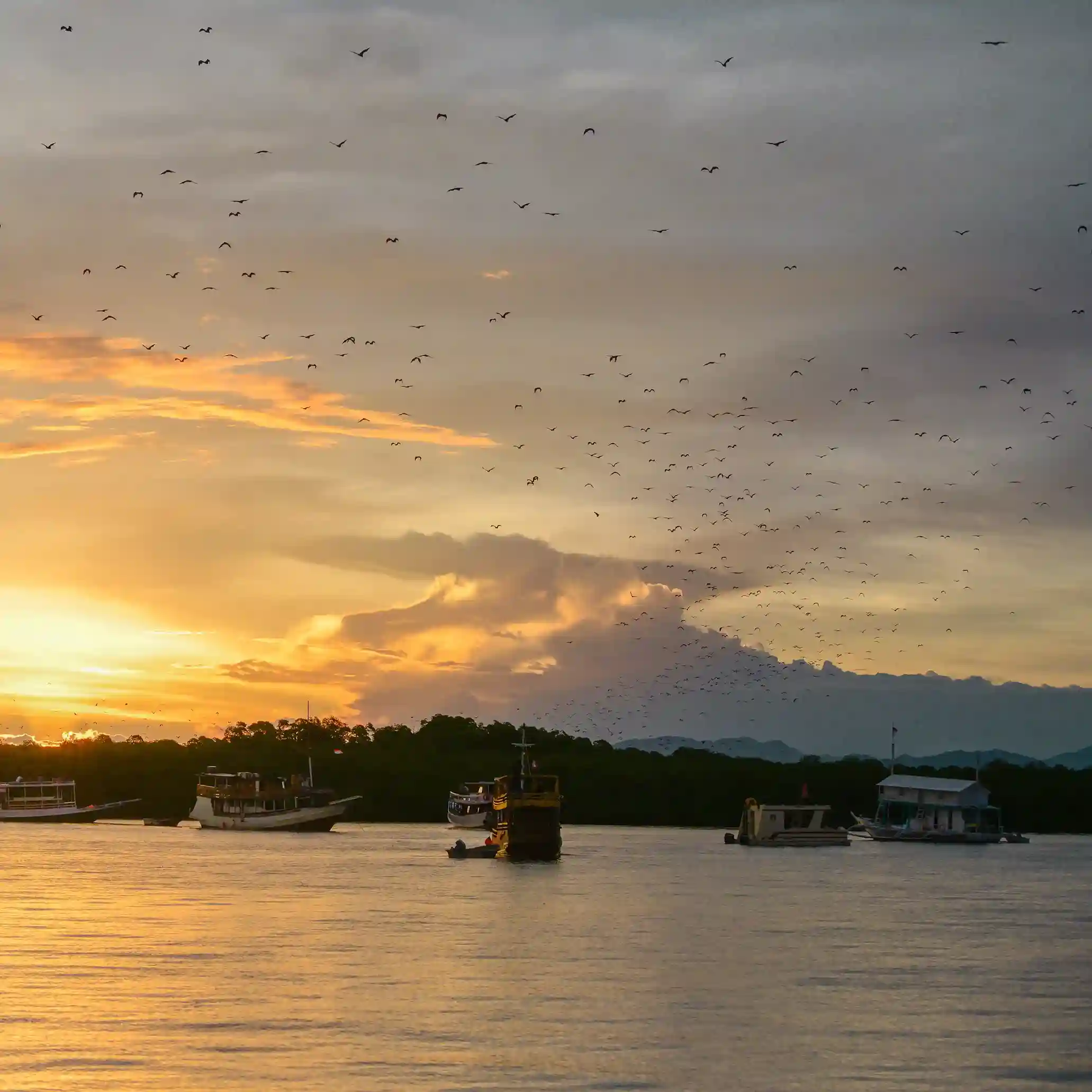 Kalong Island Sunset