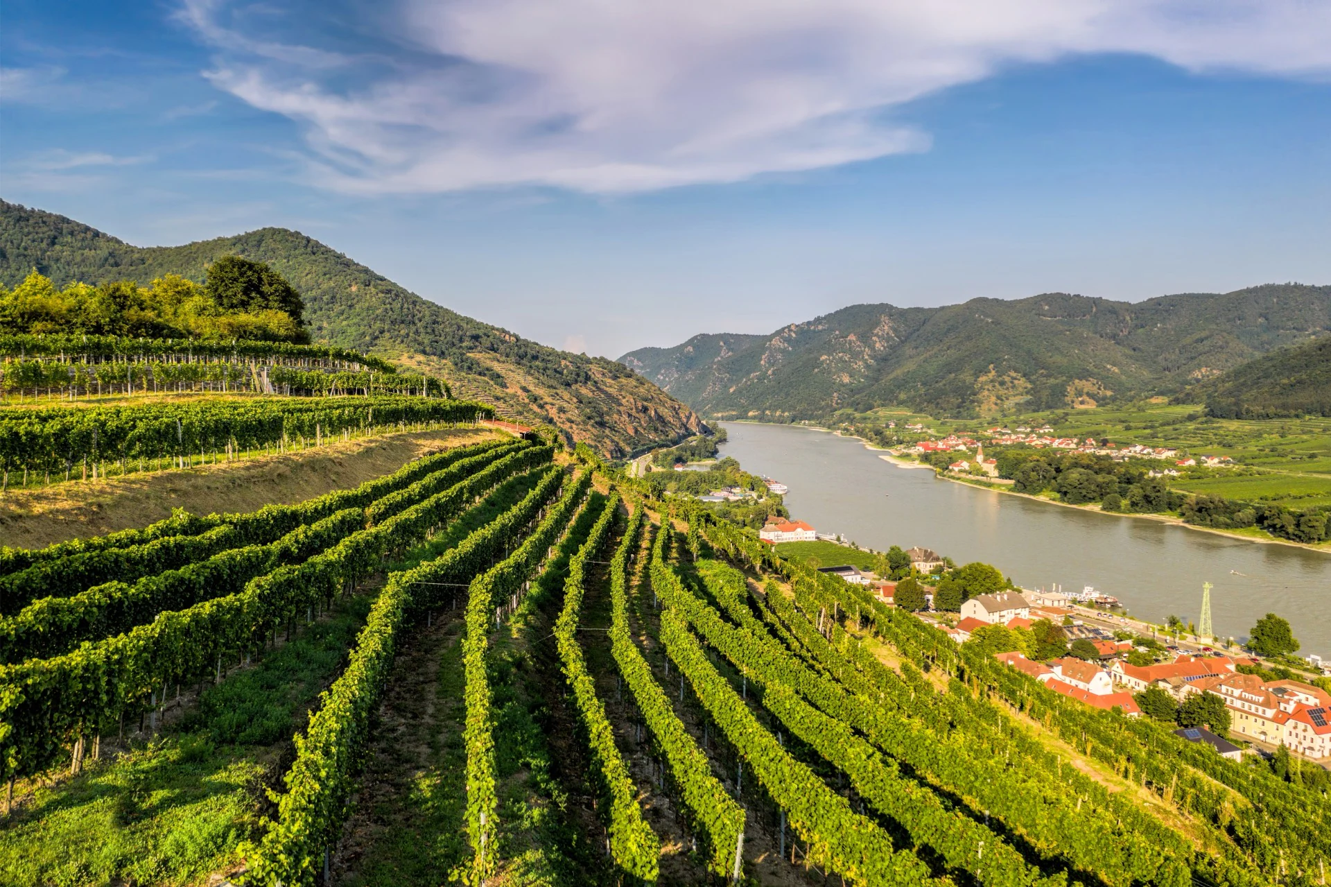 Spitz Terraced Vineyards