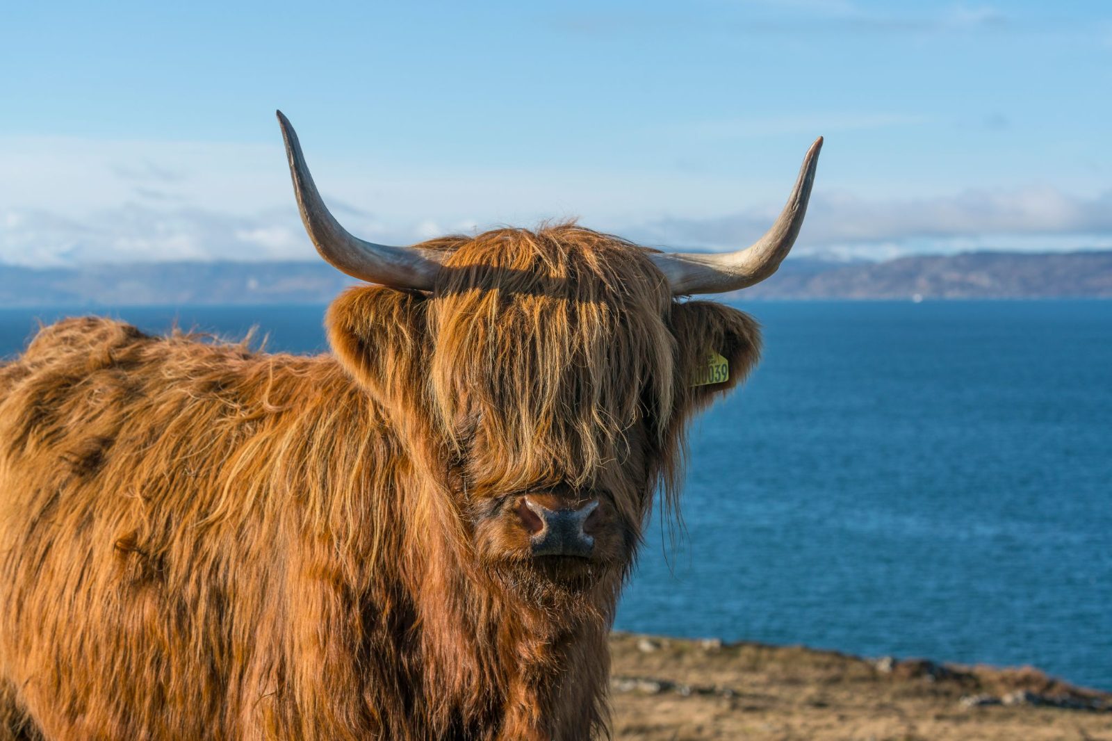 Highlands Tour From Glasgow