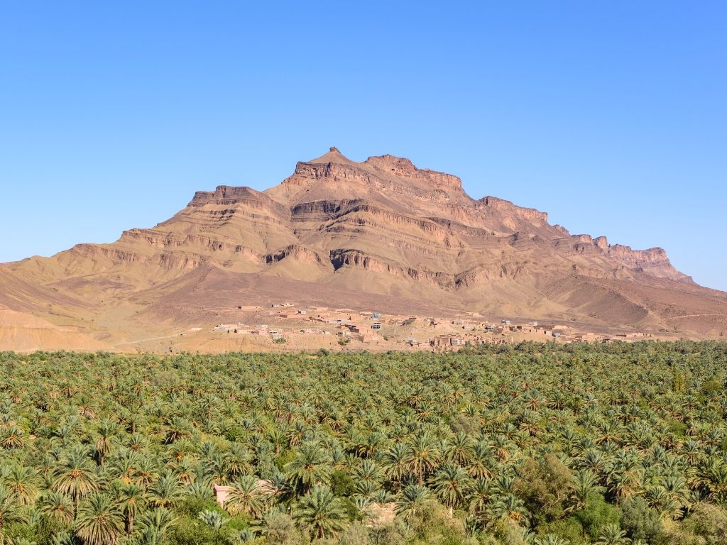 Merzouga Oasis