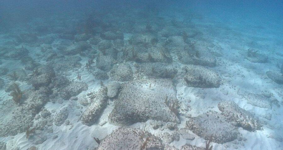 Bimini Road