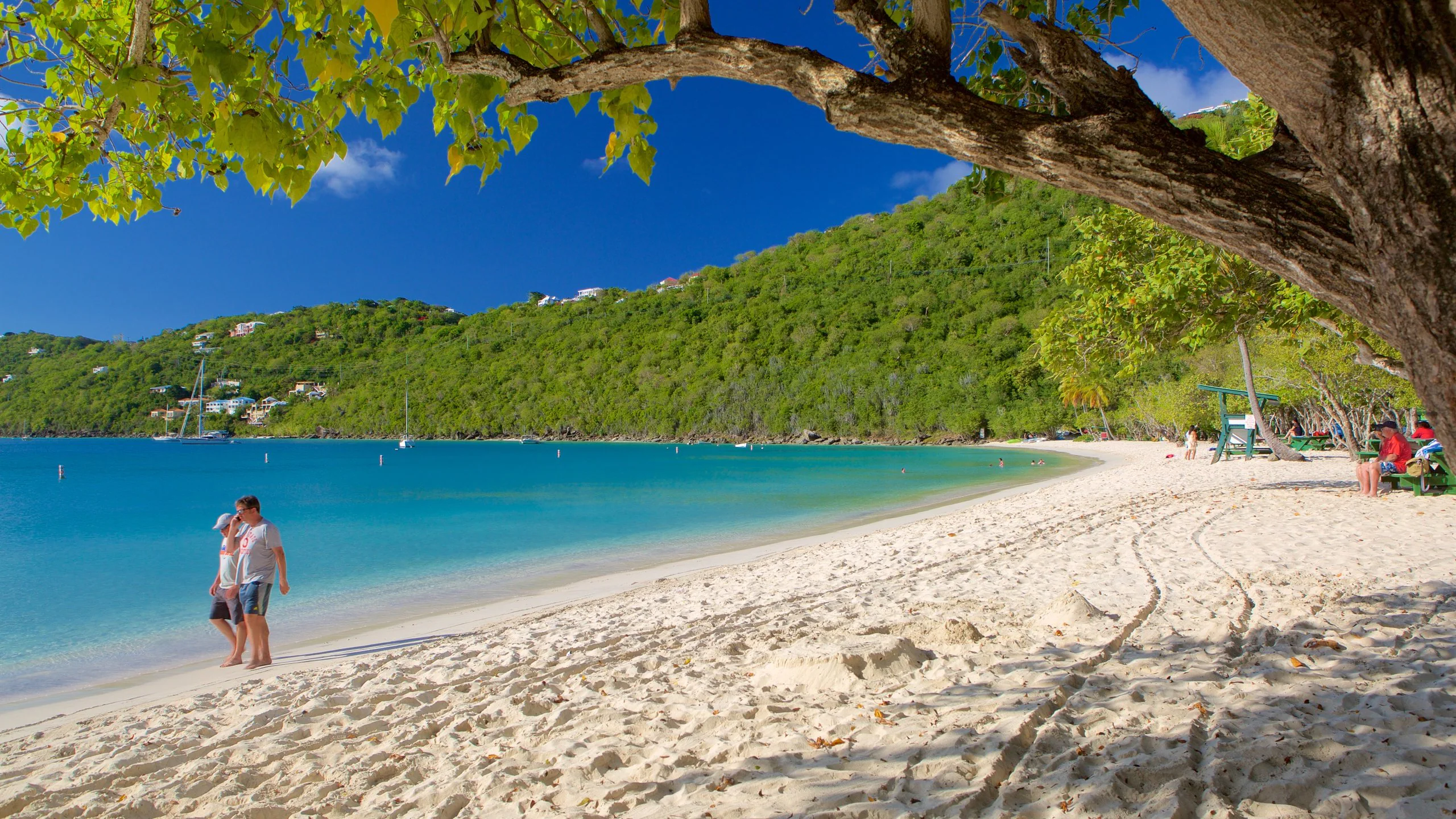 Western Shoreline Beach Path