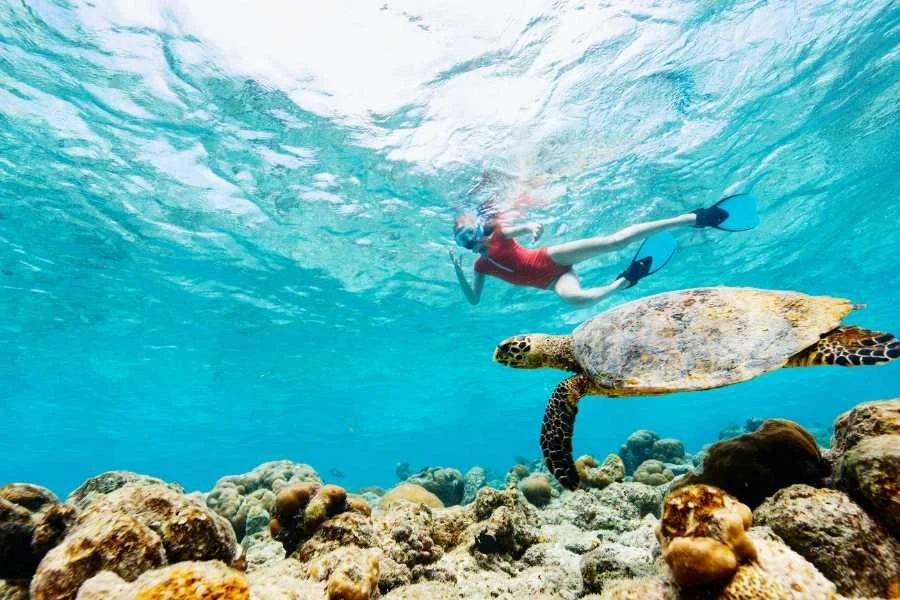 Puerto Rico Snorkeling Tours