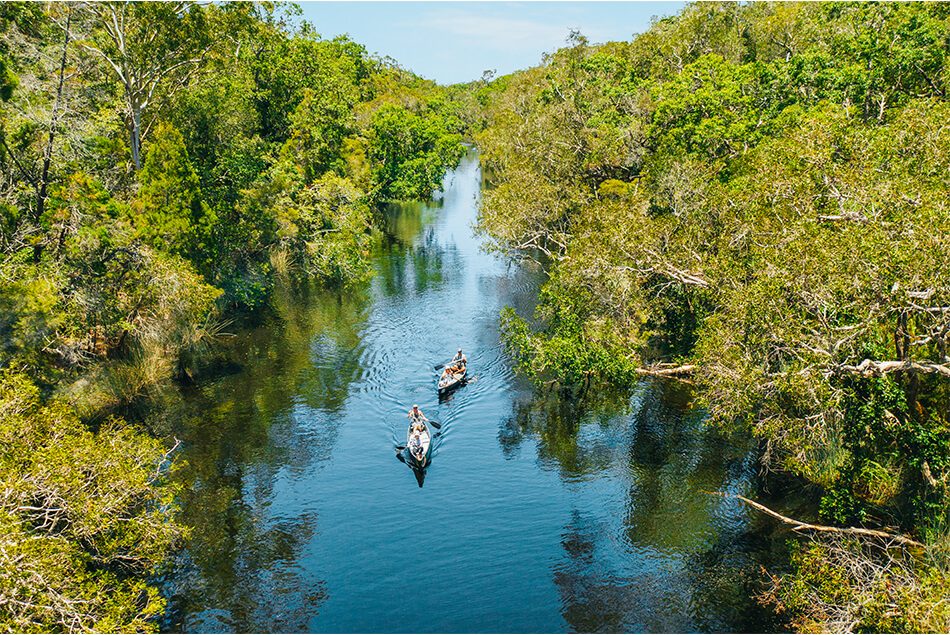 Noosa Everglades Tour