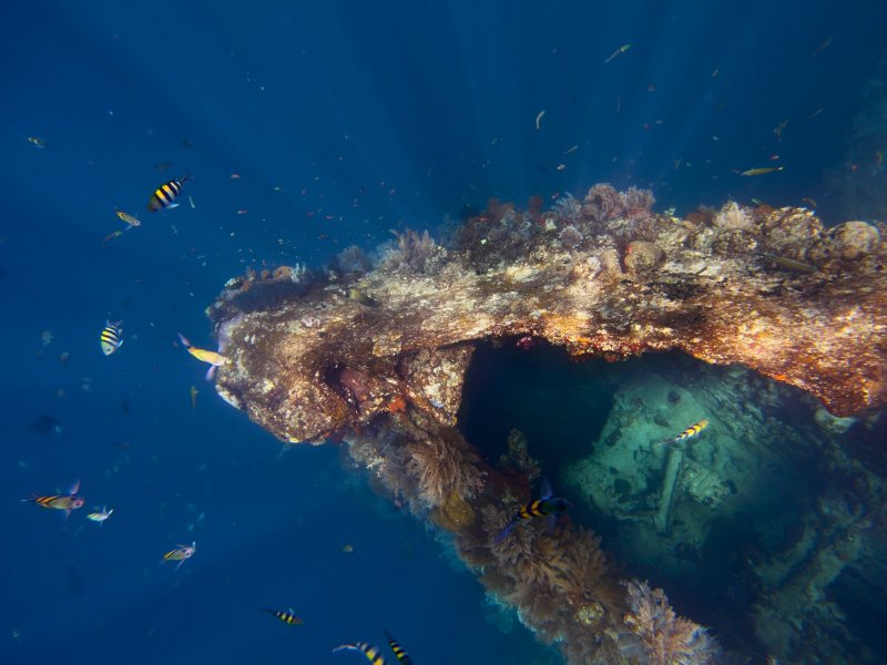 Liberty Shipwreck
