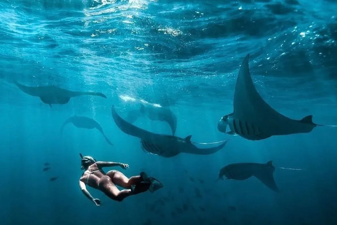 Manta Point