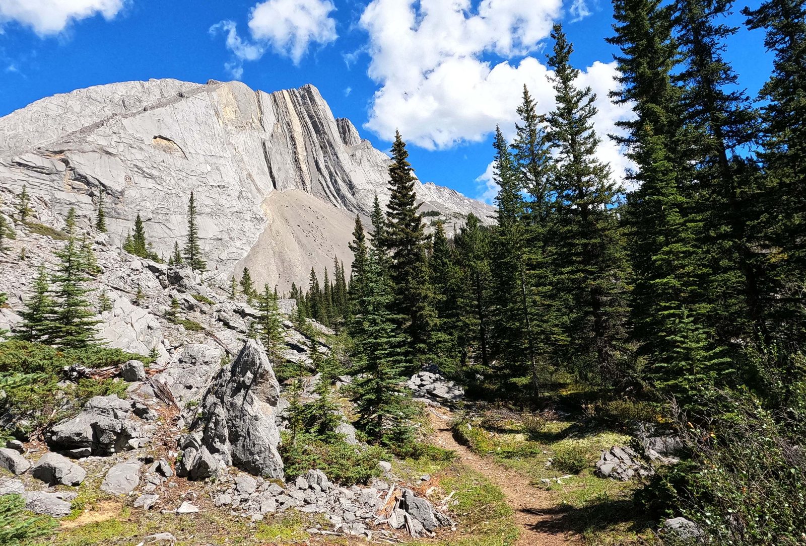 Fiddle River Drainage