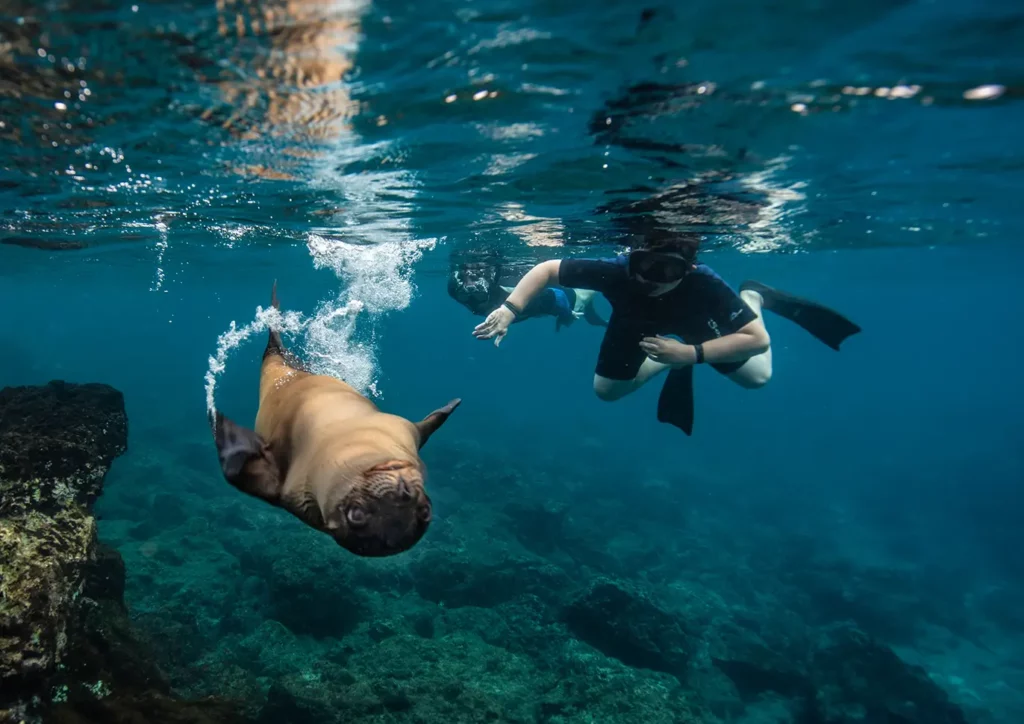 Galapagos Snorkeling Tours