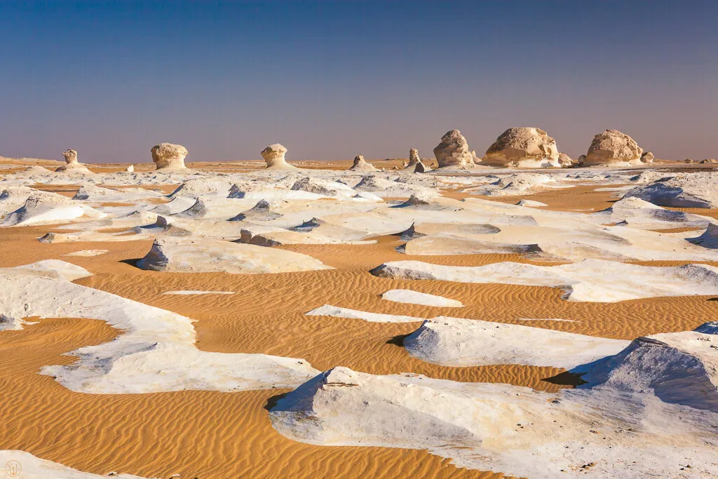 Old Desert