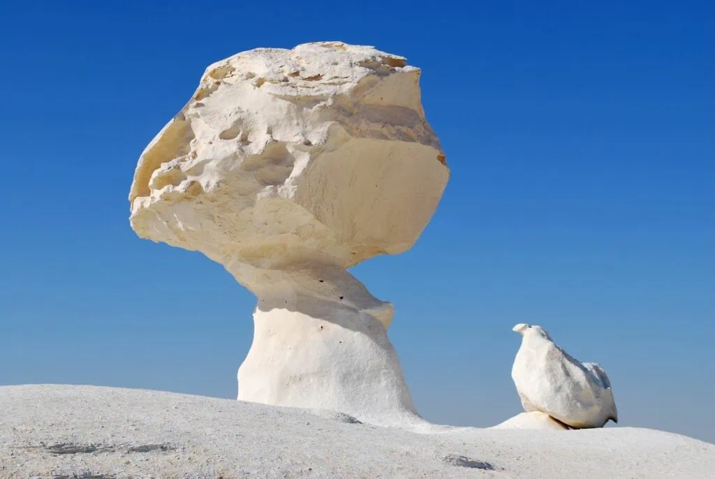 Chicken and Mushroom Rocks