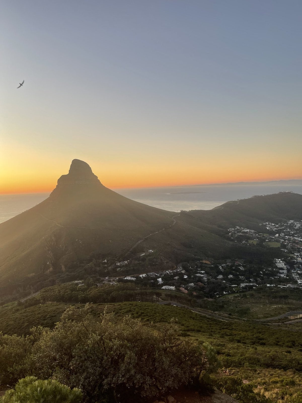 Lion's Head Viewpoint