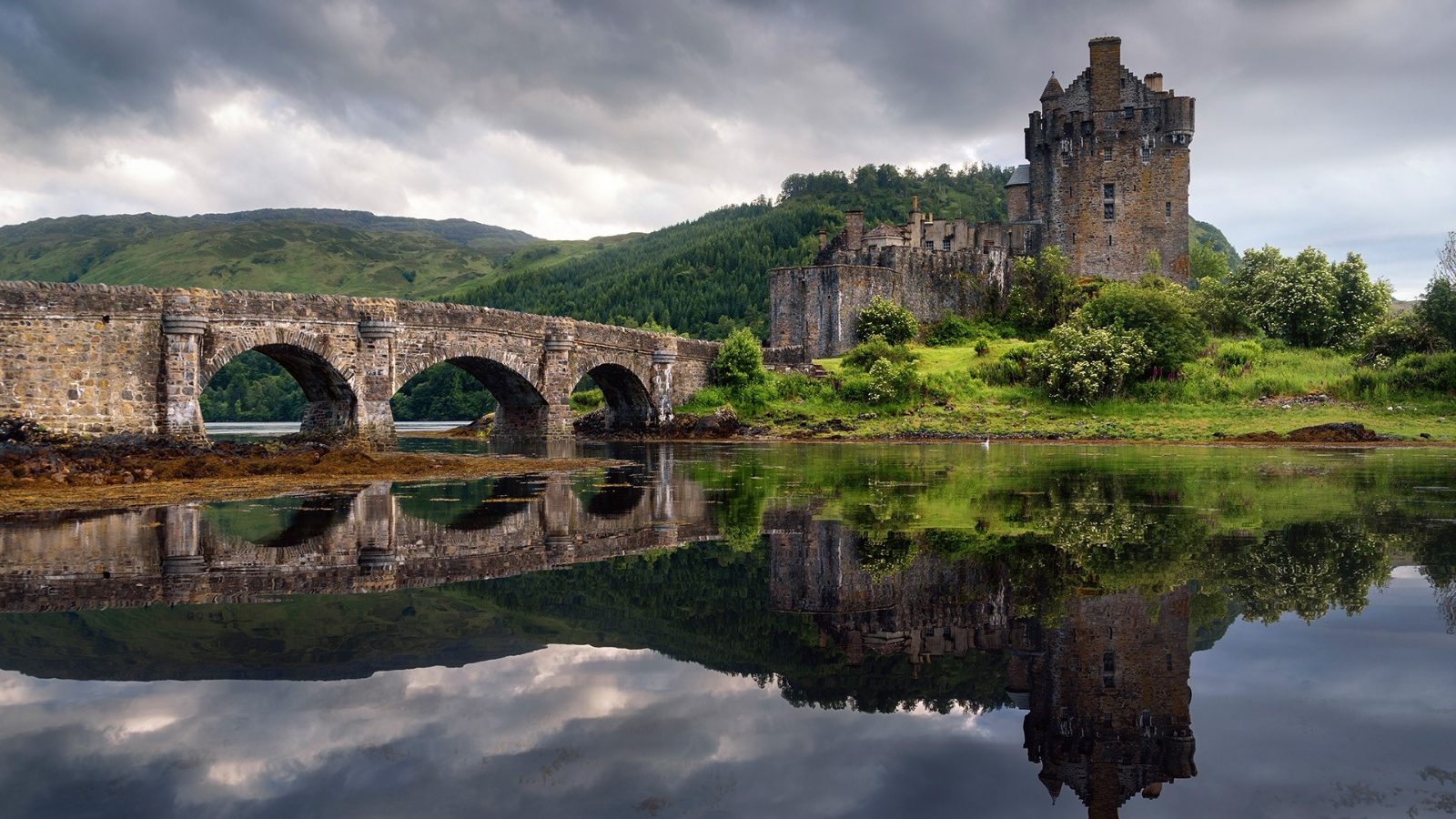 The Bridge