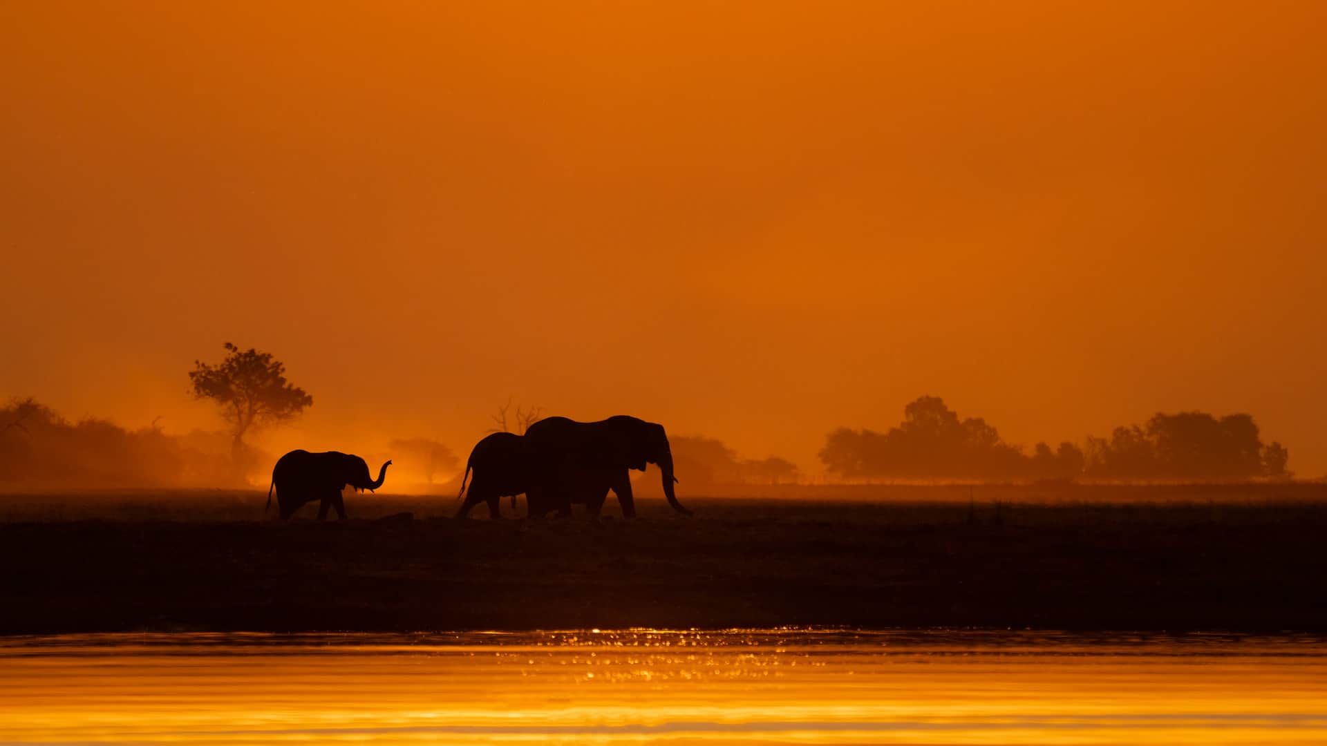 Chobe Riverfront