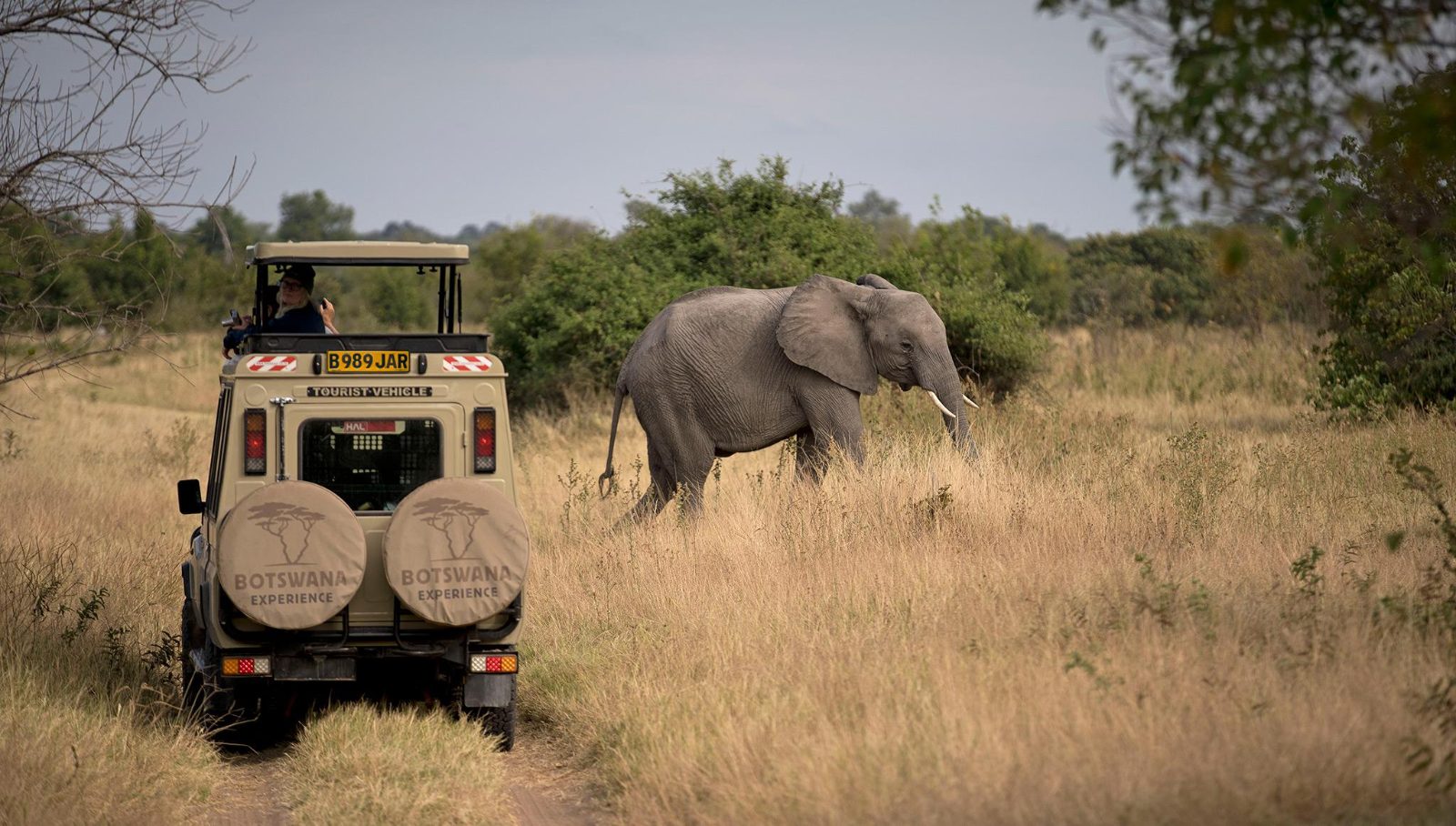 Chobe National Park Safari