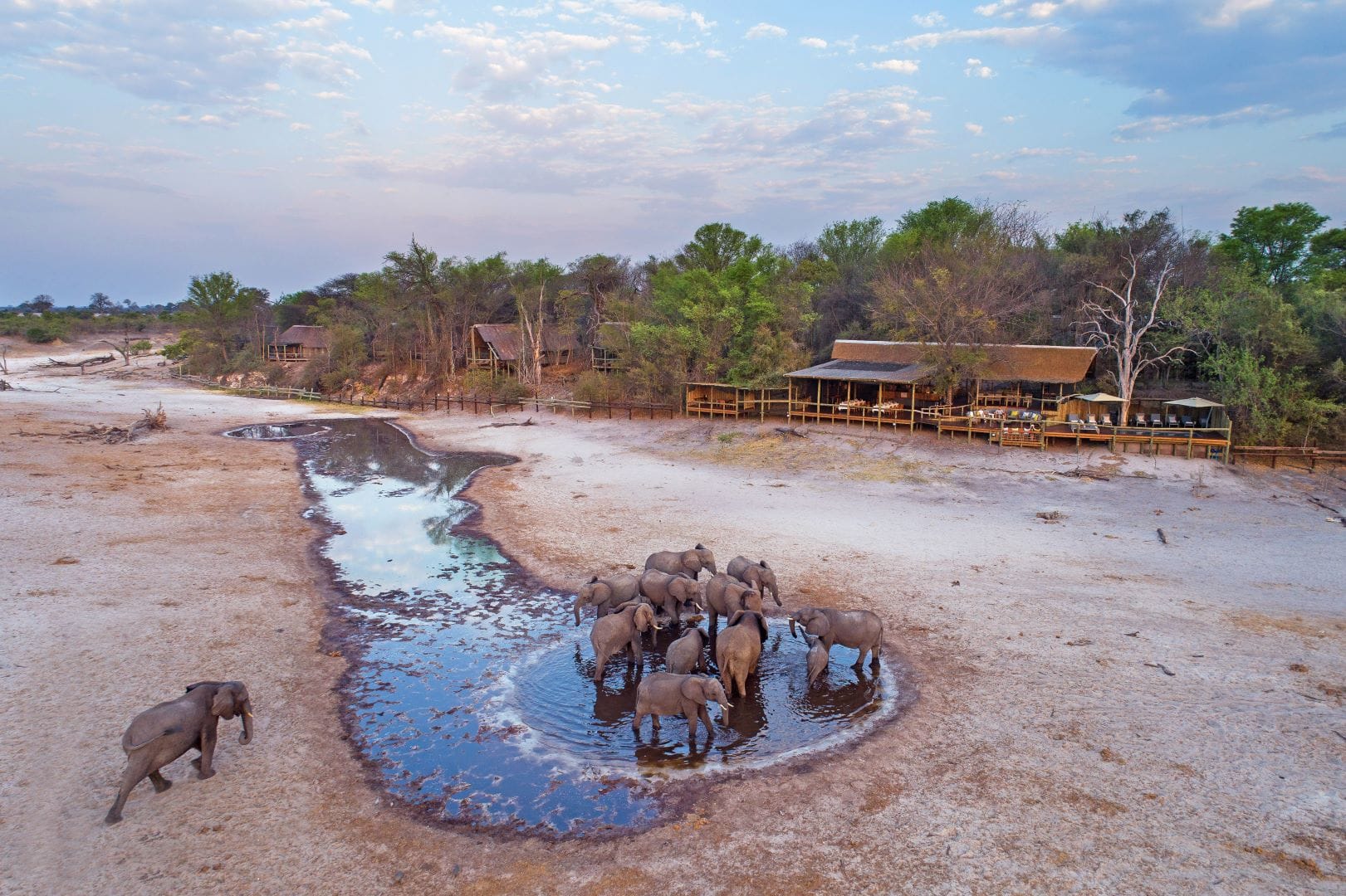 Savuti Marsh