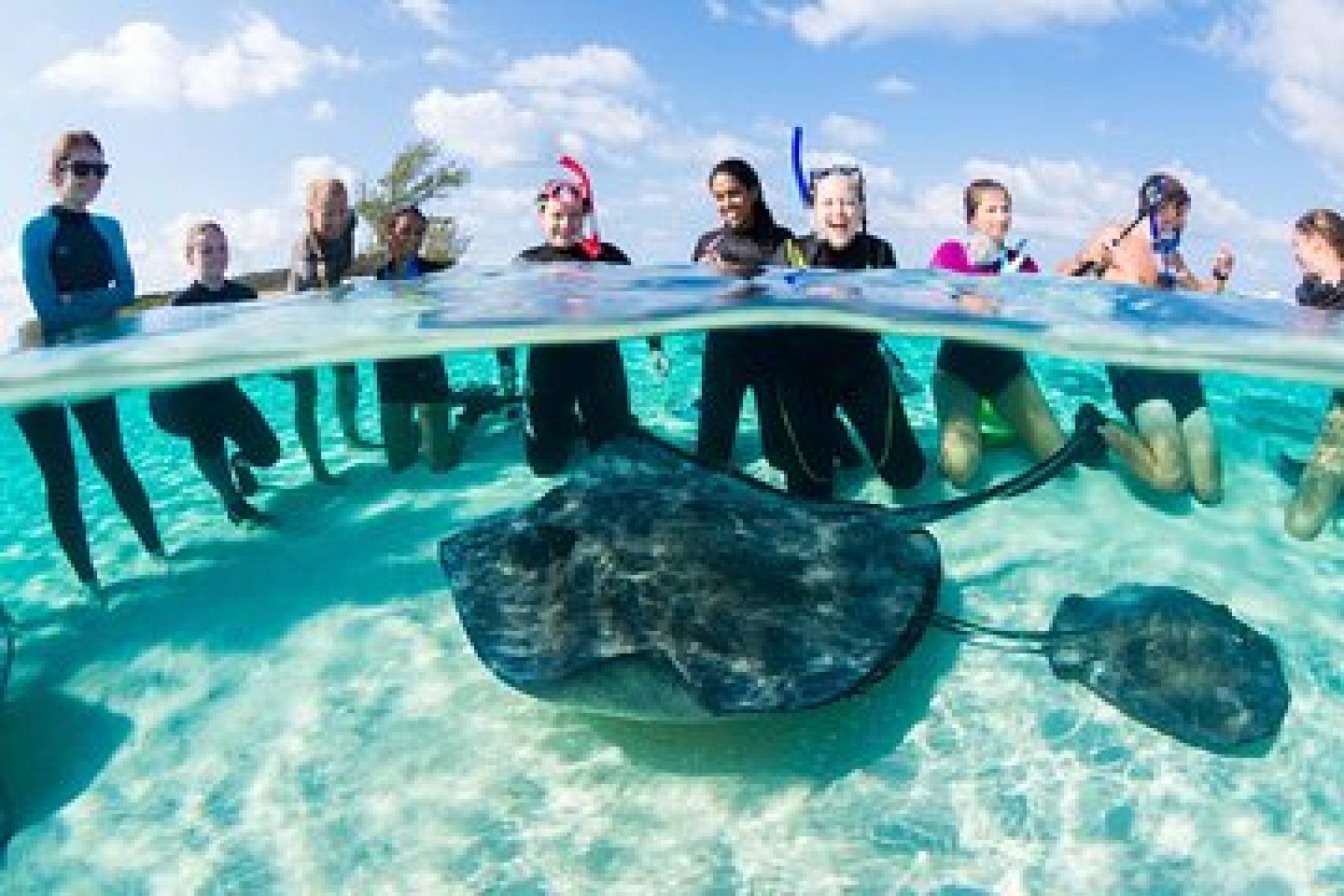 Bimini Cruise