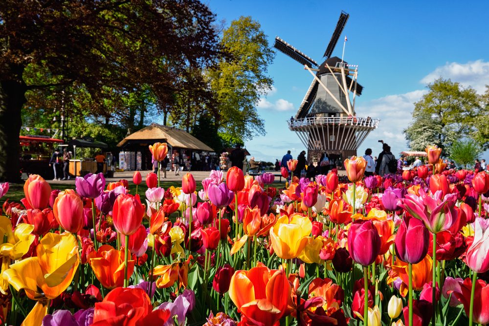 Keukenhof Windmill