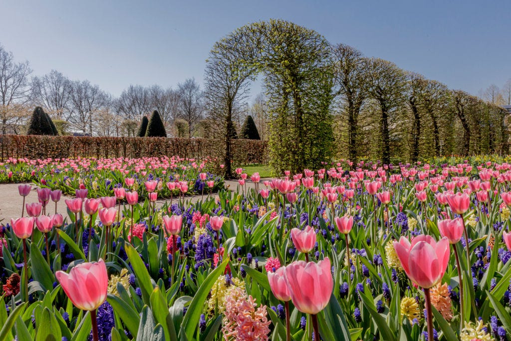 Historical Garden