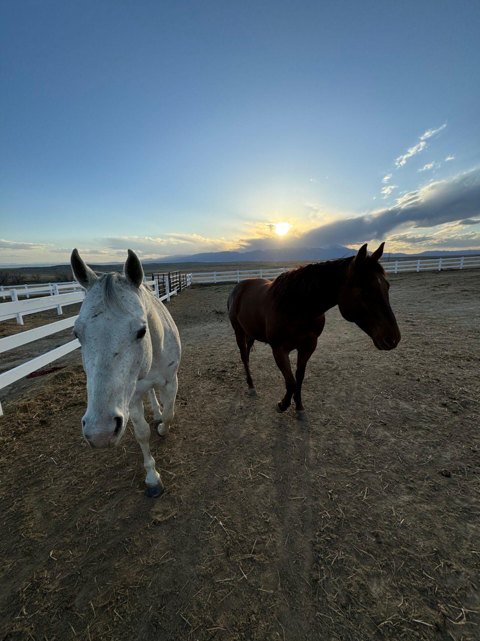 Equestrian Ranch Facilities