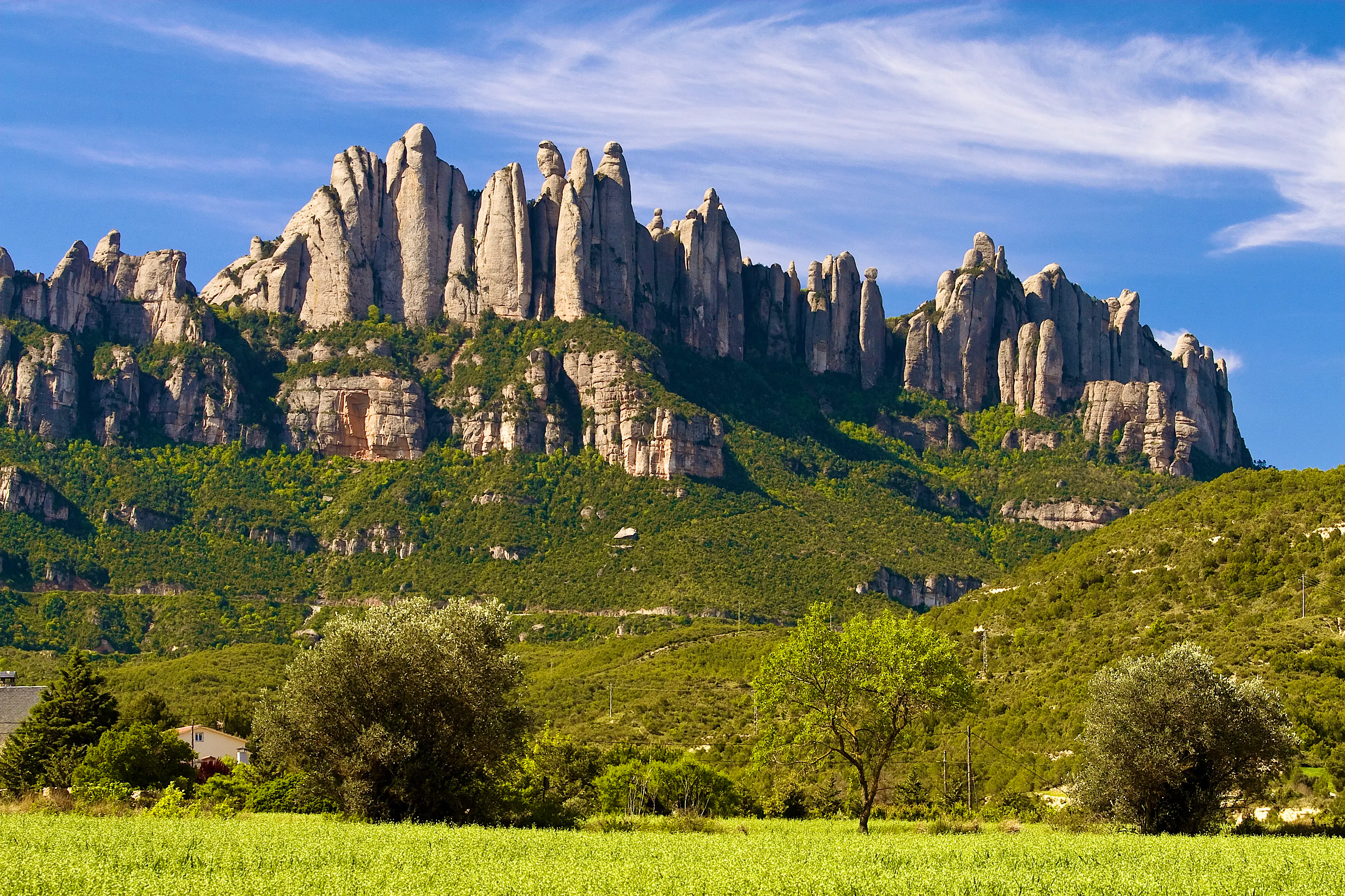 Catalan Countryside
