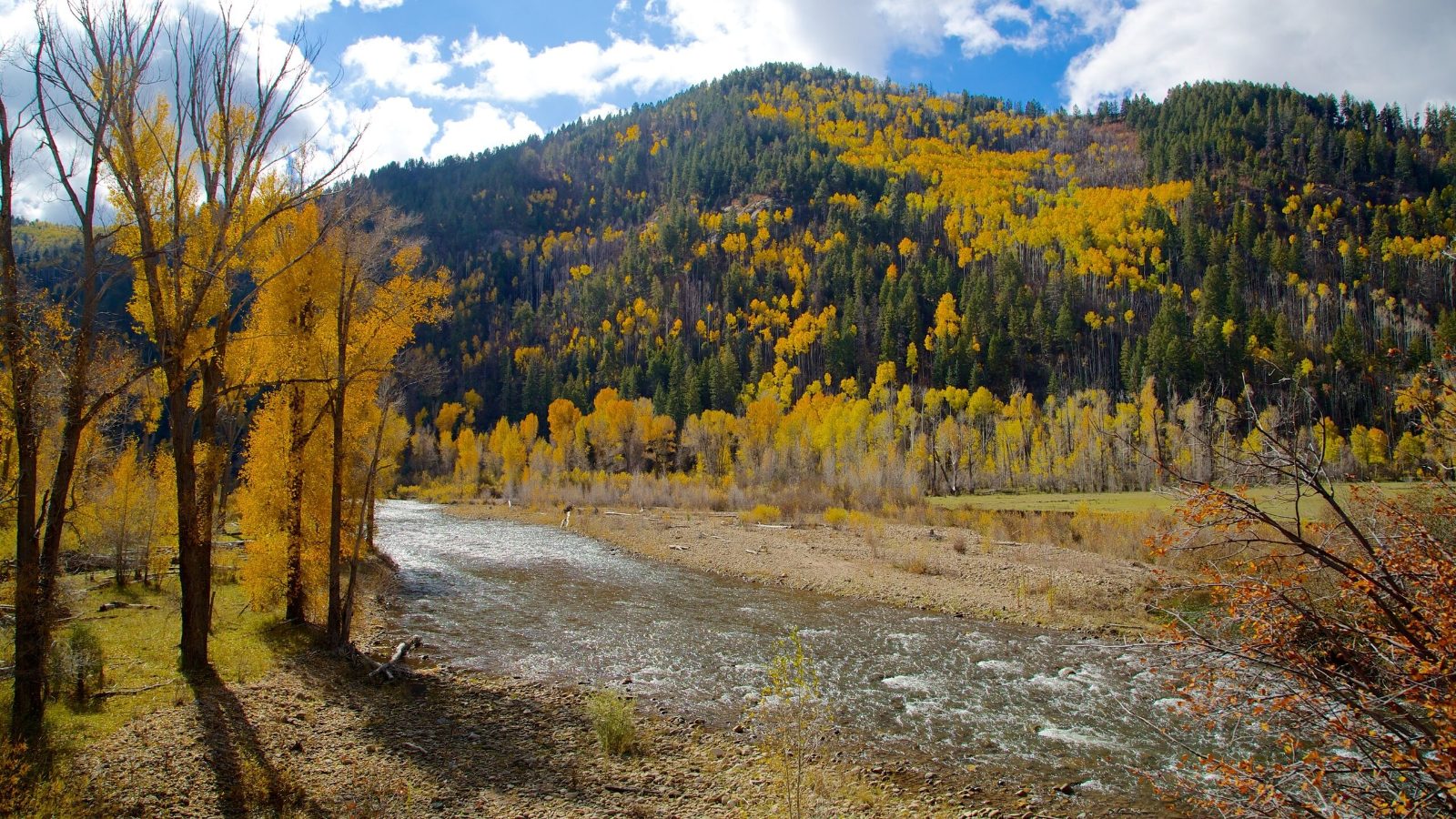La Plata River Crossings