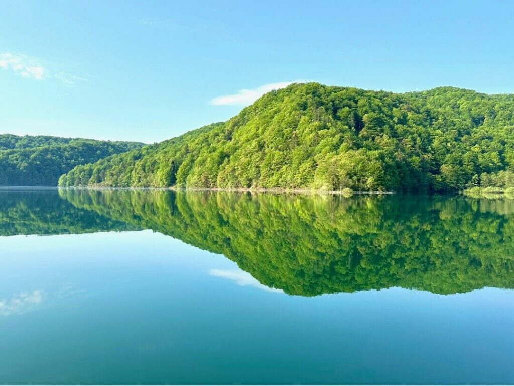 Lower Lakes P1 Viewpoint