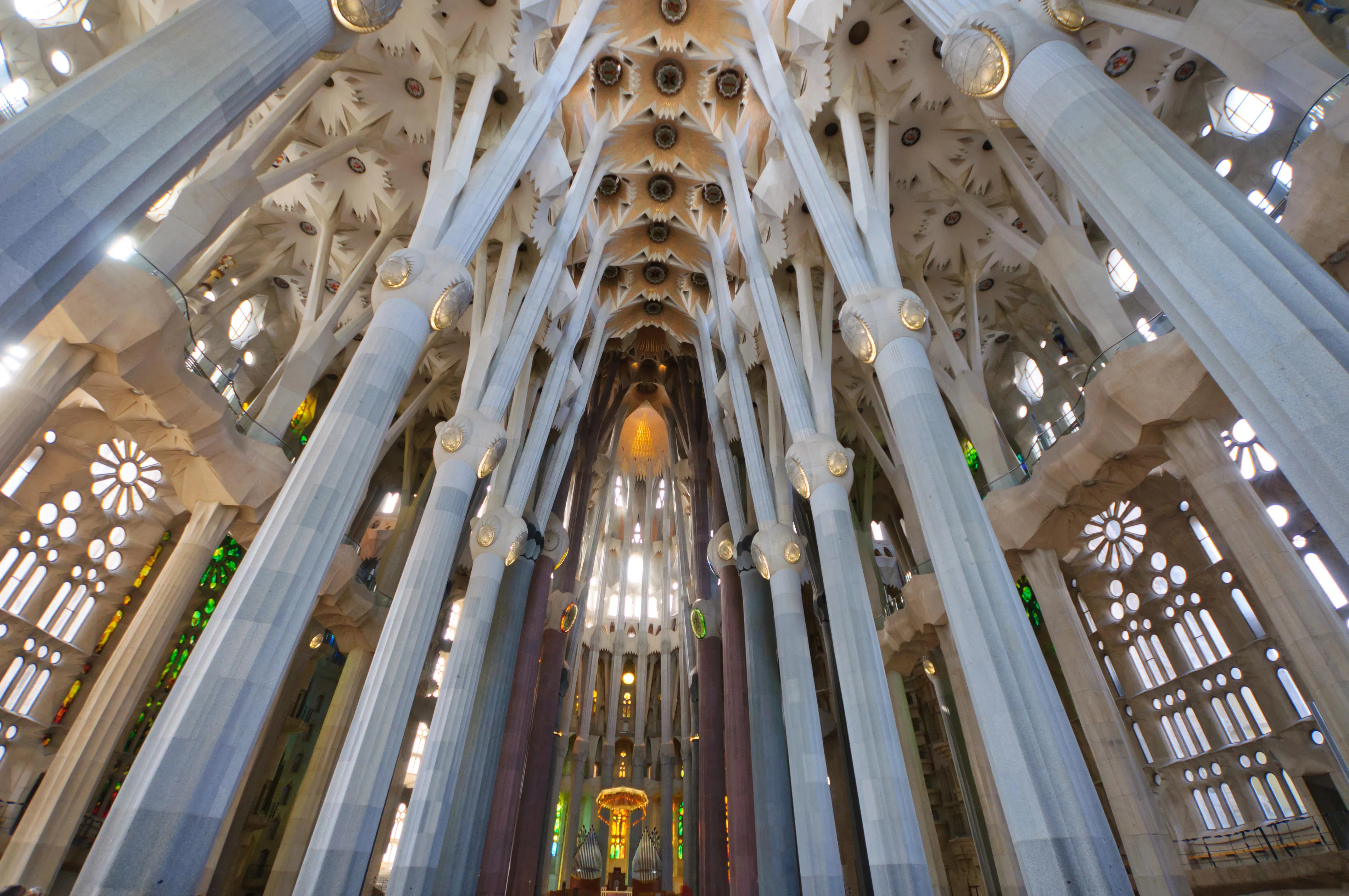 Nave