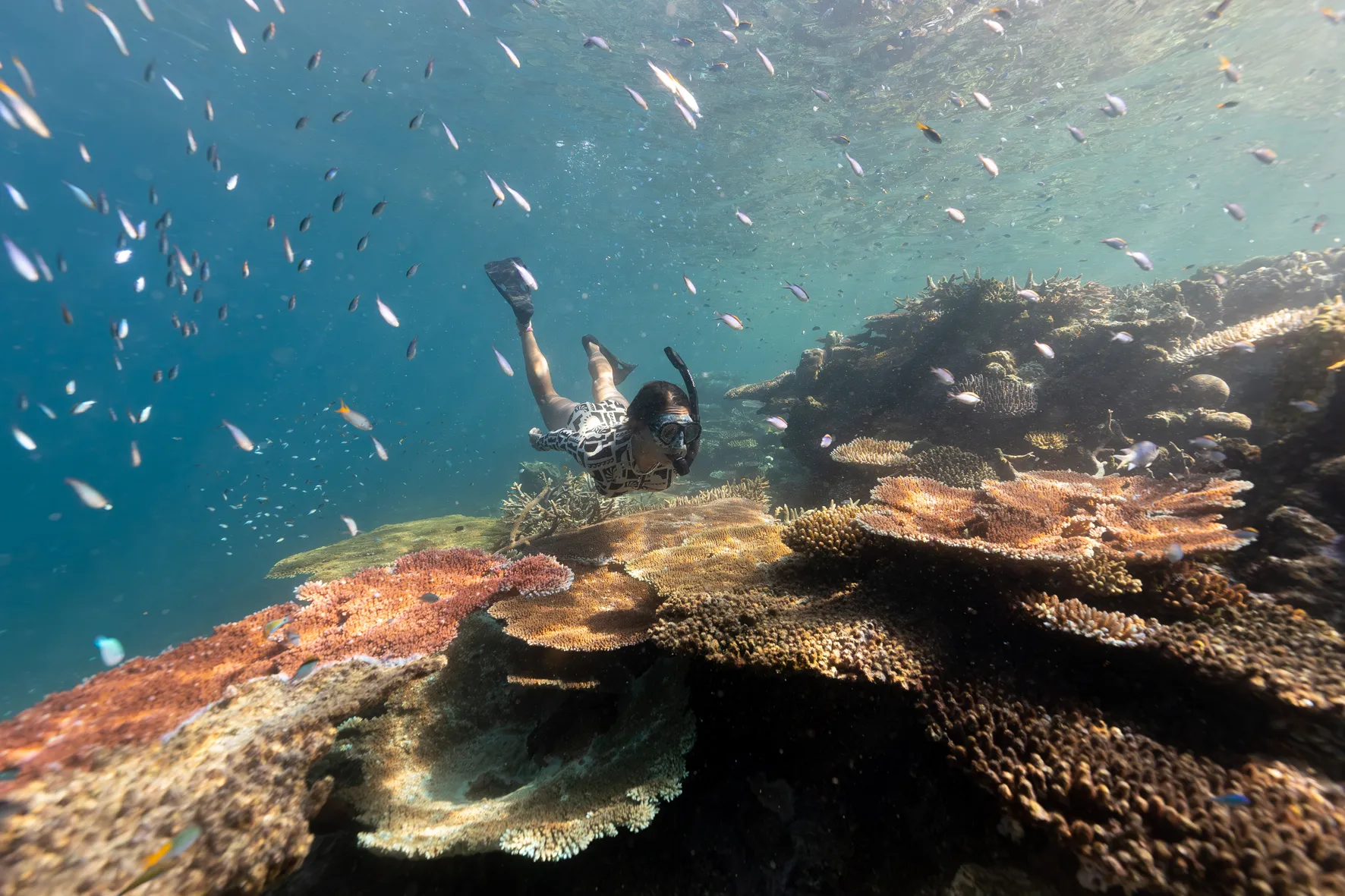 Snorkeling Whitsundays