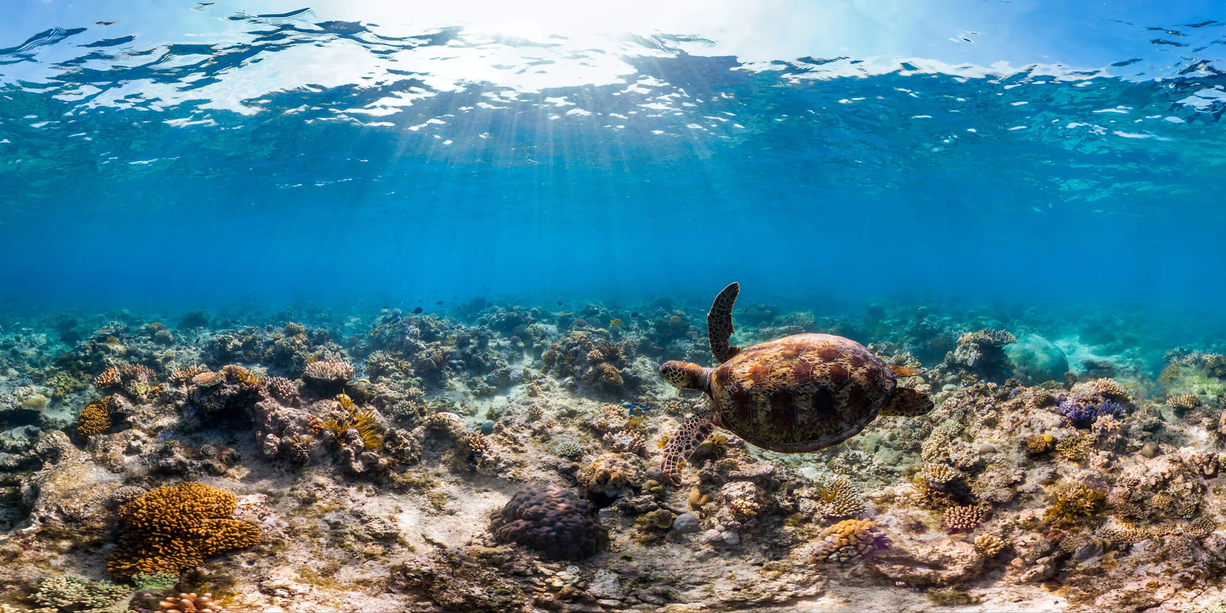 Norman Reef