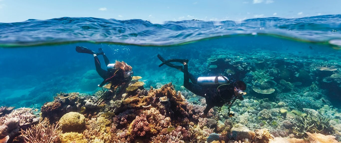 Hastings Reef