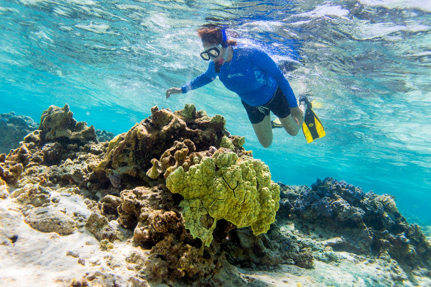 Private Snorkeling Tour Port Douglas