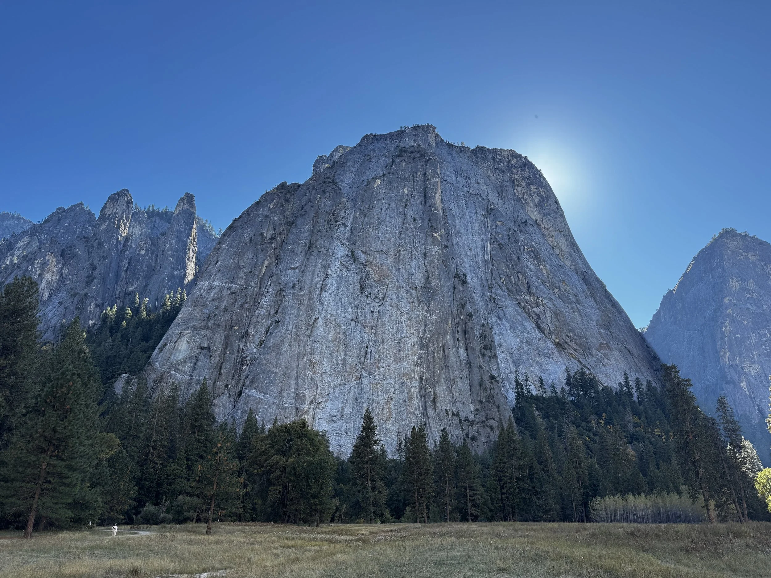 El Capitan Meadow