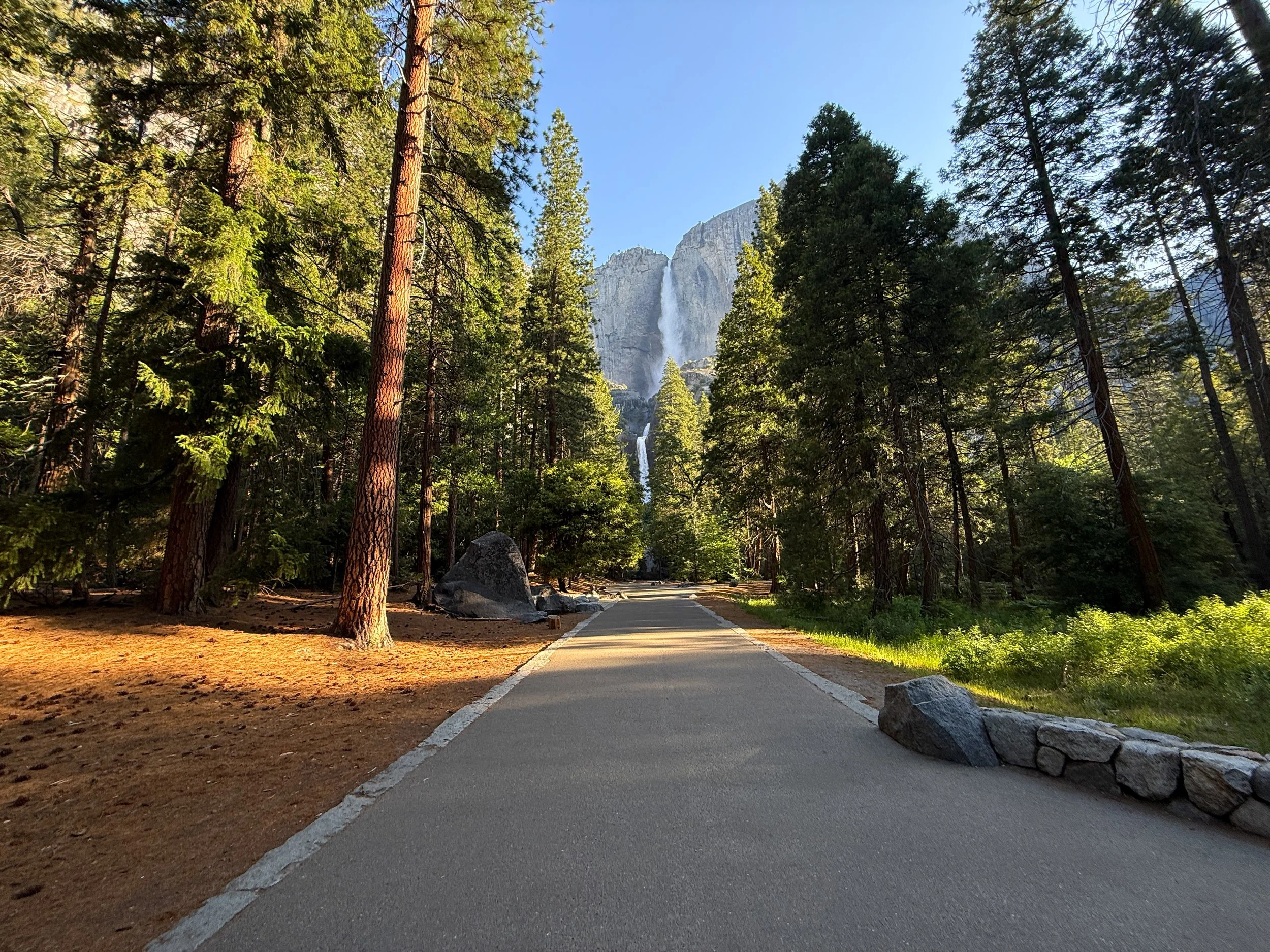 Lower Yosemite Fall