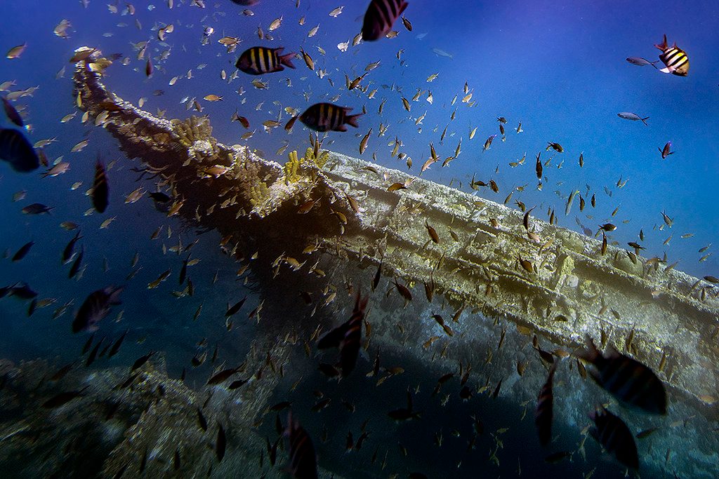 Antilla Shipwreck