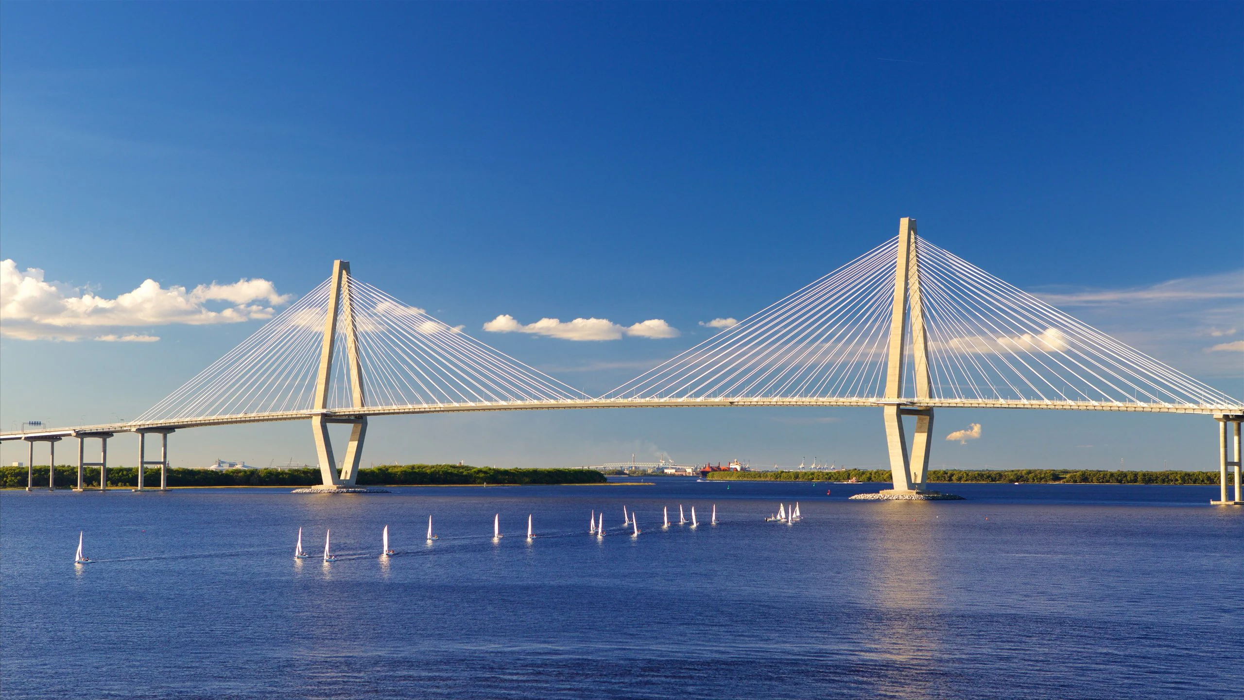 Ravenel Bridge Under-Pass