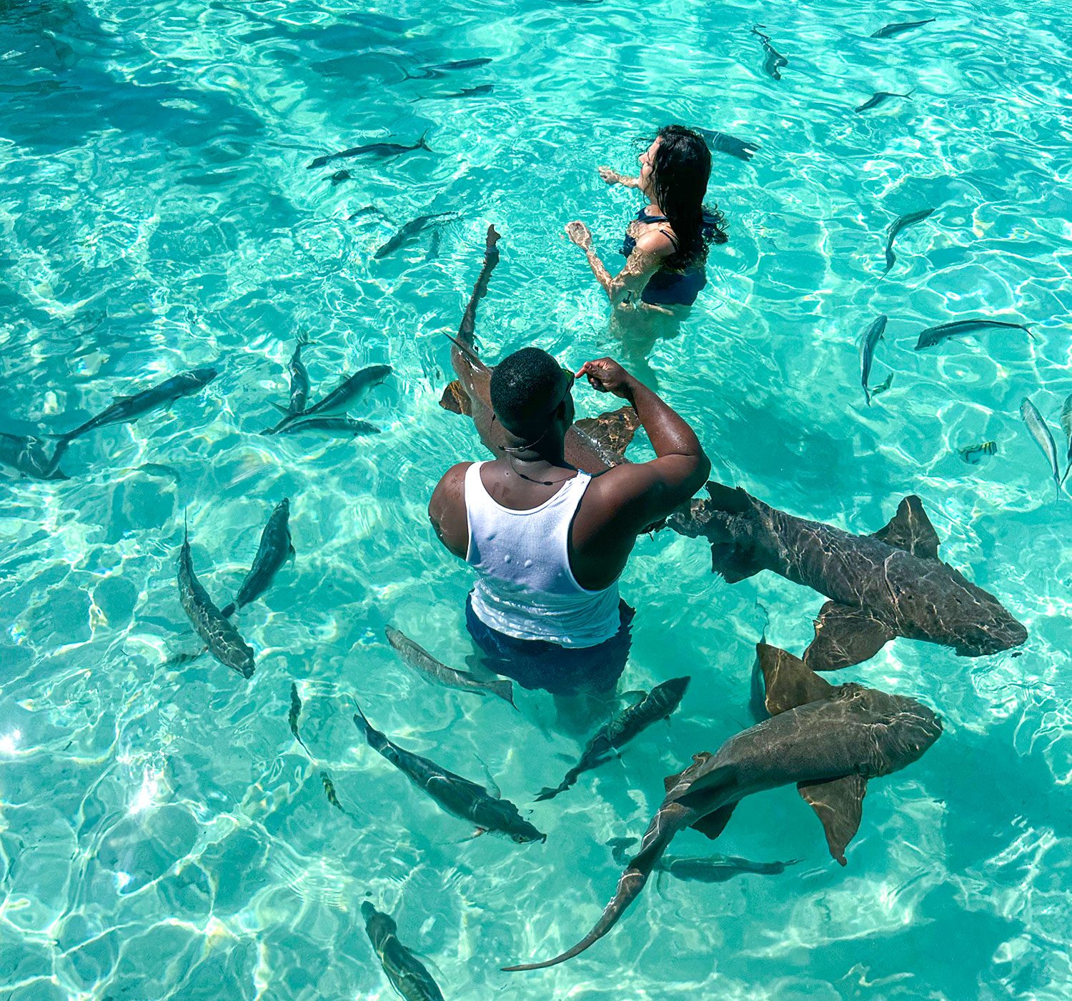 Compass Cay